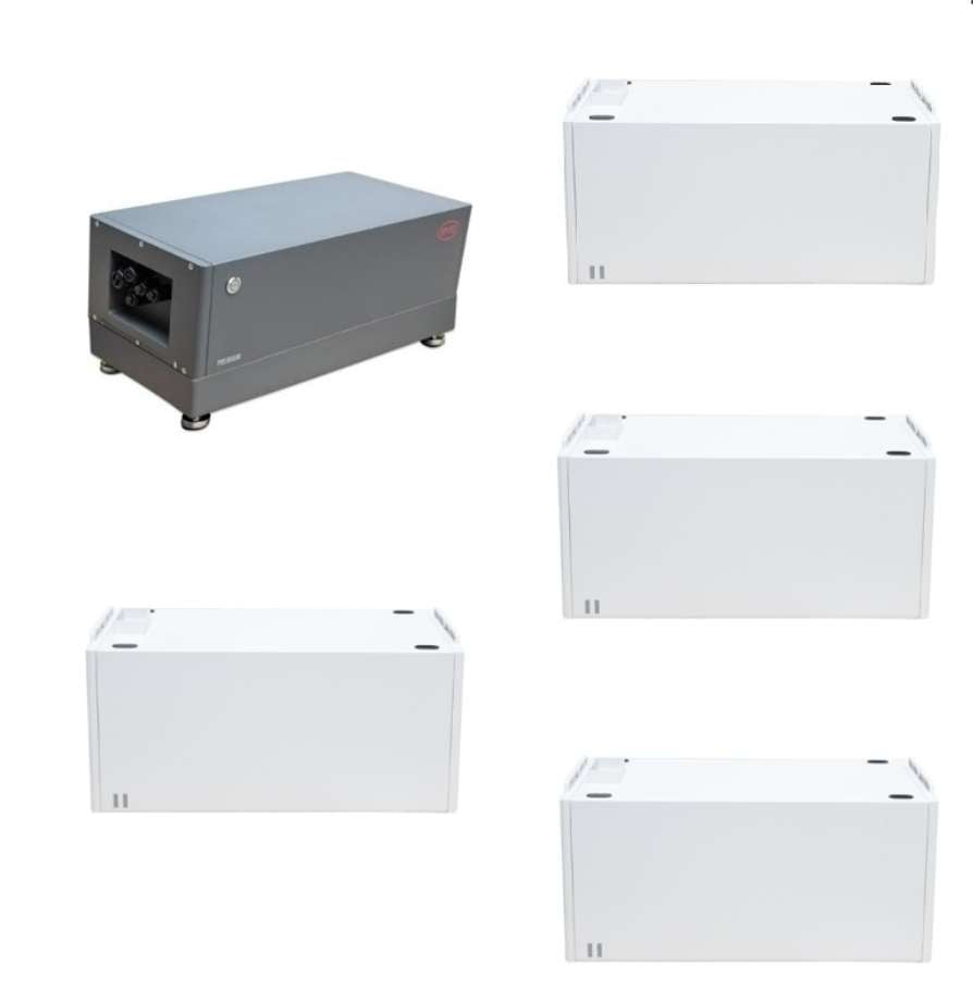 SET: Battery Management System+ 4x Batteriemodule